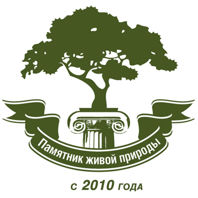 Приглашаем принять участие в программе «Деревья – памятники живой природы».